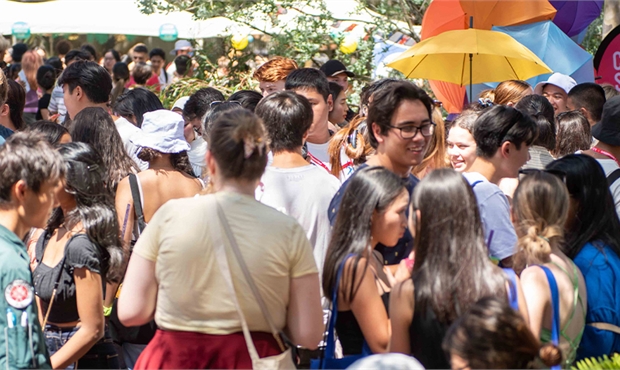 Help us make Guild clubs better