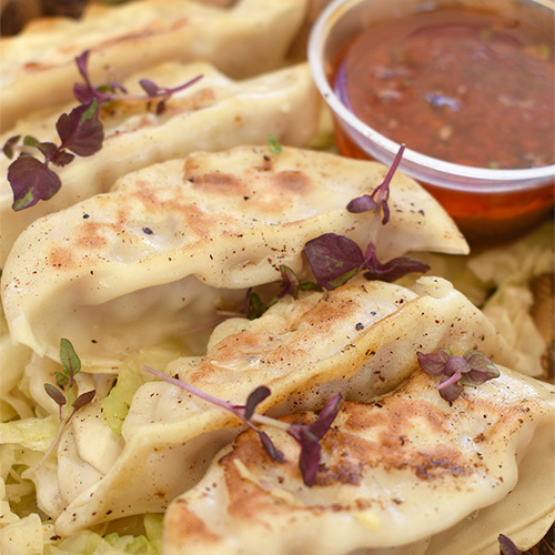 Monday - Gyoza served with cabbage noodles and a chunky chilli salsa.